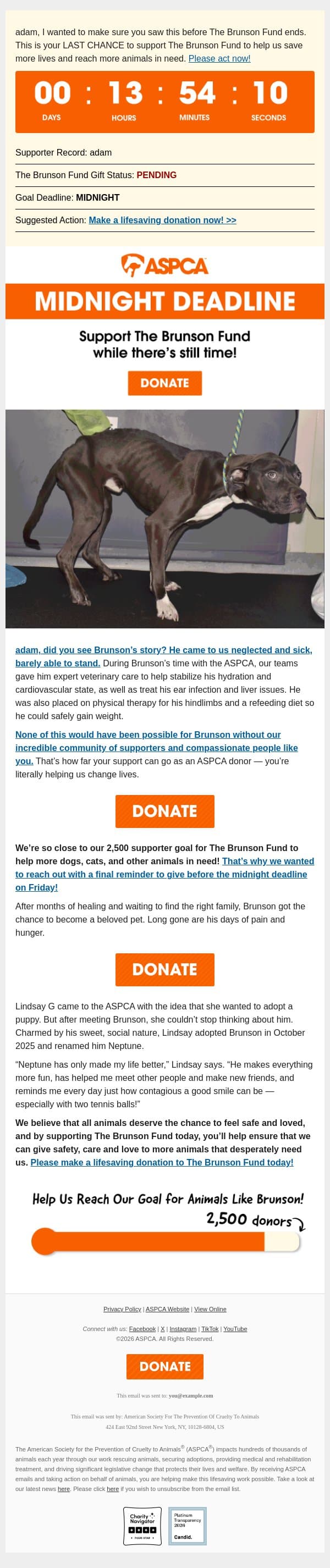 MIDNIGHT DEADLINE: Your final chance to support The Brunson Fund email from ASPCA screenshot