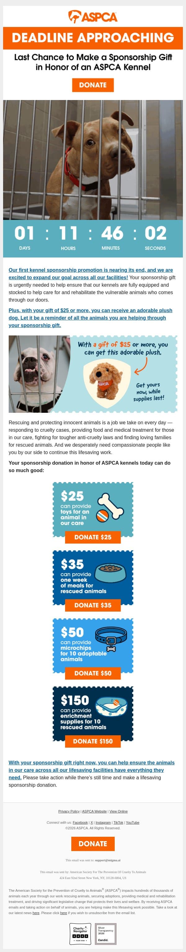 LAST CHANCE: Make Your Sponsorship Gift in Honor of an ASPCA Kennel email from ASPCA screenshot
