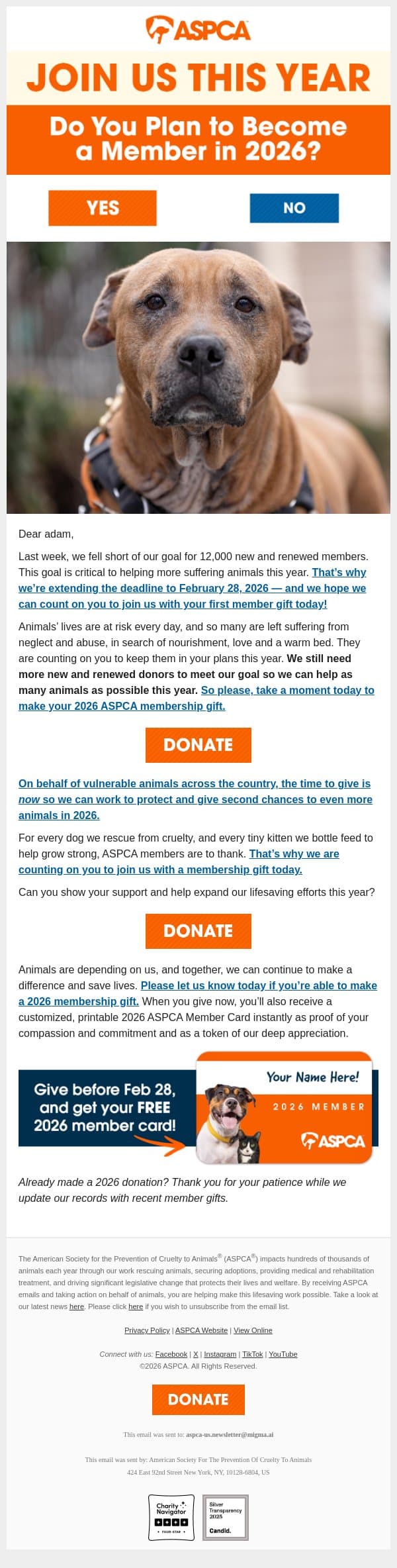 Response Still Needed: Your 2026 Membership email from ASPCA screenshot