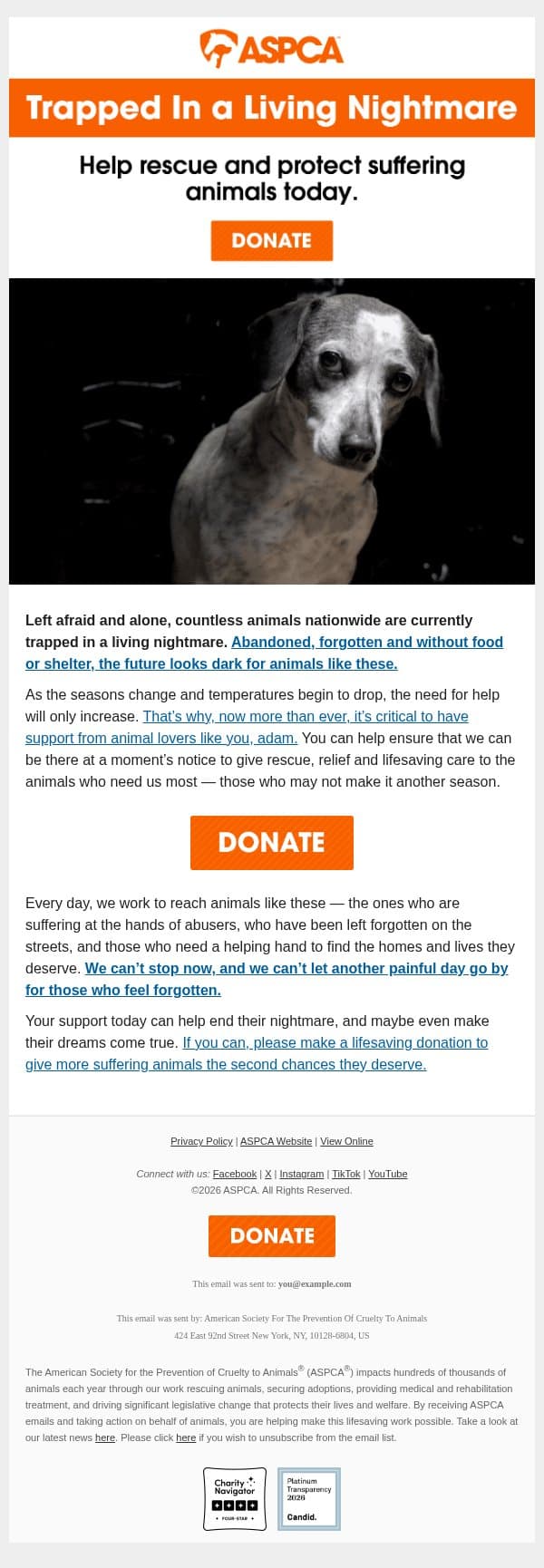 They’re afraid and alone, adam. Can you help? email from ASPCA screenshot