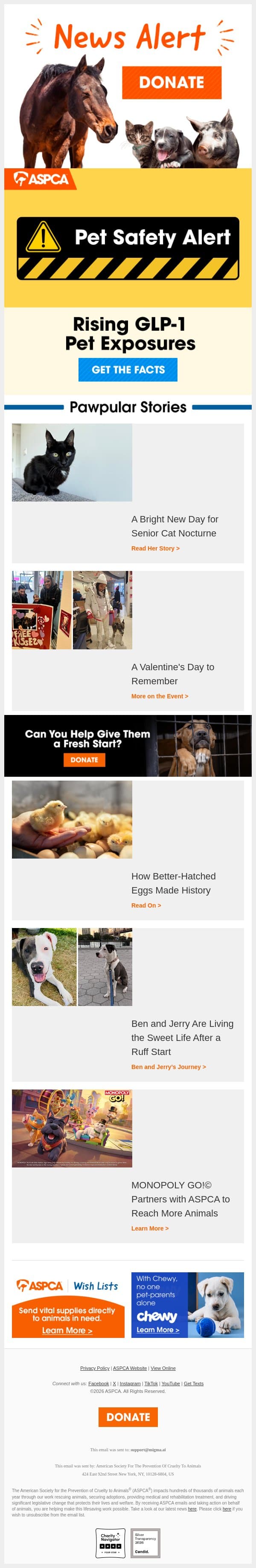 WARNING: Dangerous Medication for Pets email from ASPCA screenshot