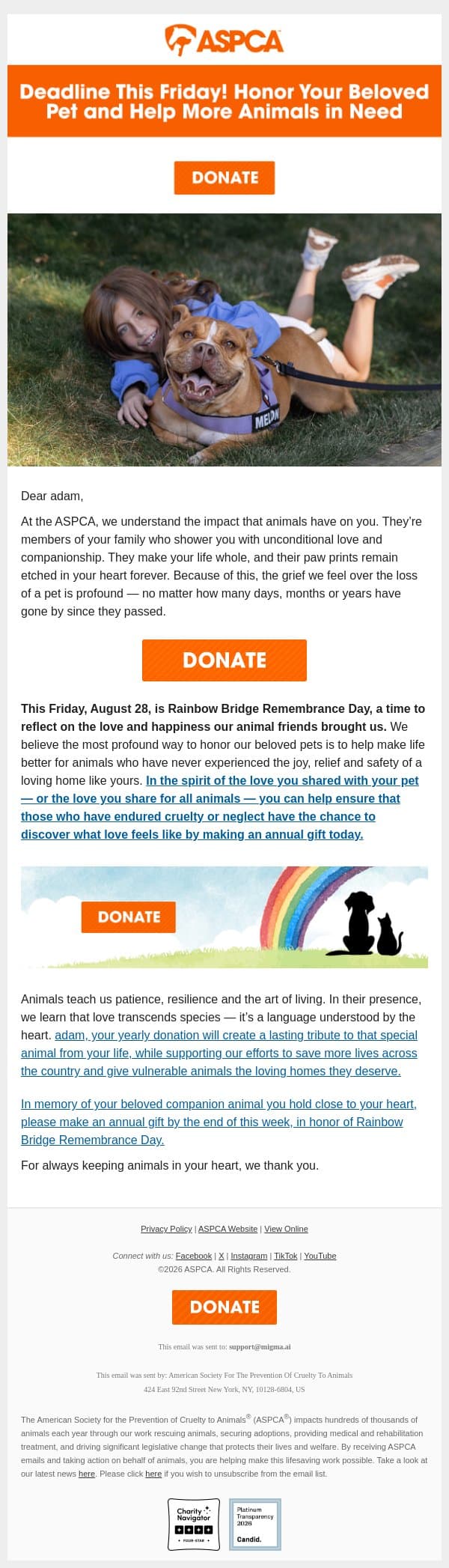 August 28 is Rainbow Bridge Remembrance Day! email from ASPCA screenshot