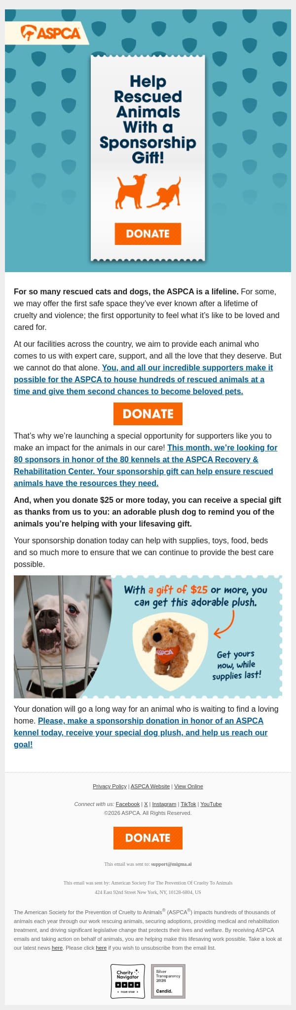 This Month Only: Special Sponsorship Opportunity! email from ASPCA screenshot