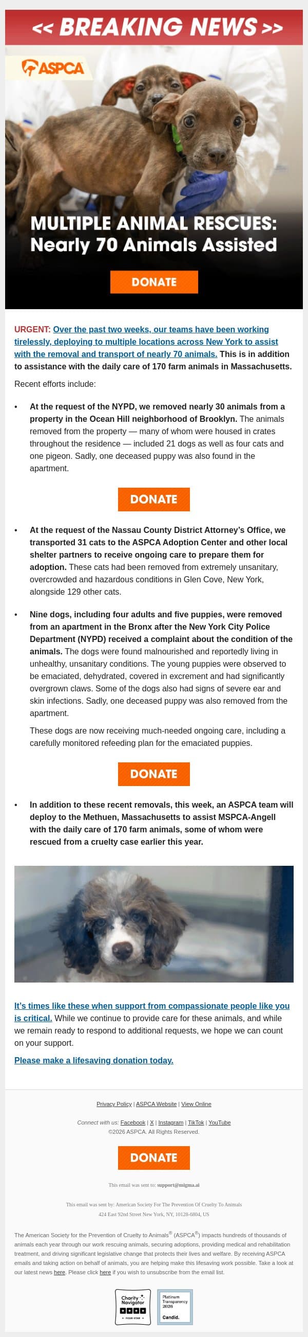 BREAKING: Nearly 70 Animals Assisted [Help Today] email from ASPCA screenshot