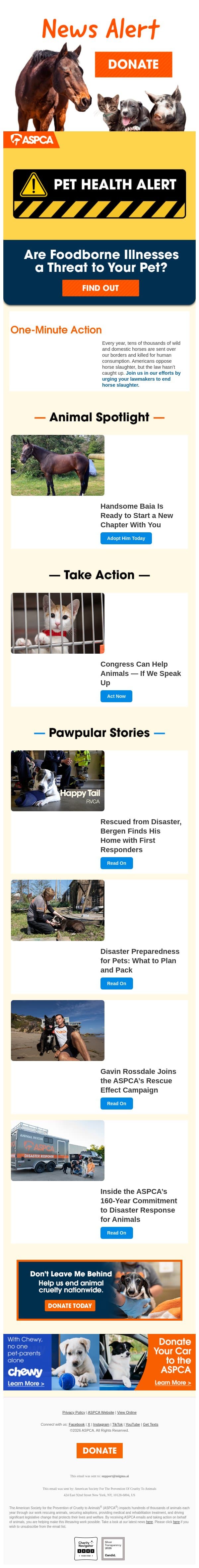 Can Cyclospora Infect Your Pet? [Urgent Alert Inside] email from ASPCA screenshot