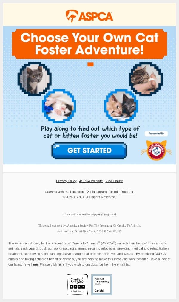 [PLAY NOW] Choose Your Own Cat Foster Adventure! email from ASPCA screenshot