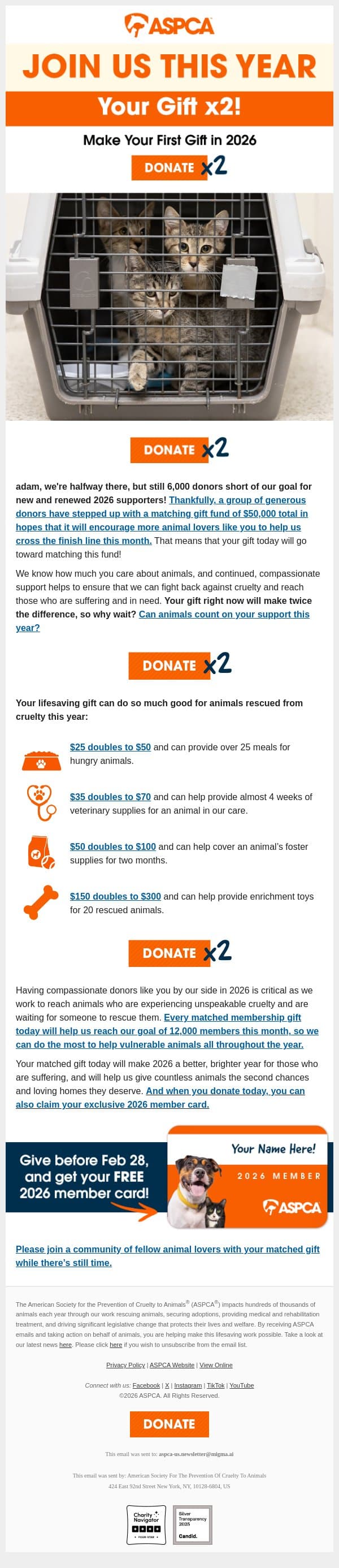 Exclusive MATCH offer for you, adam! email from ASPCA screenshot