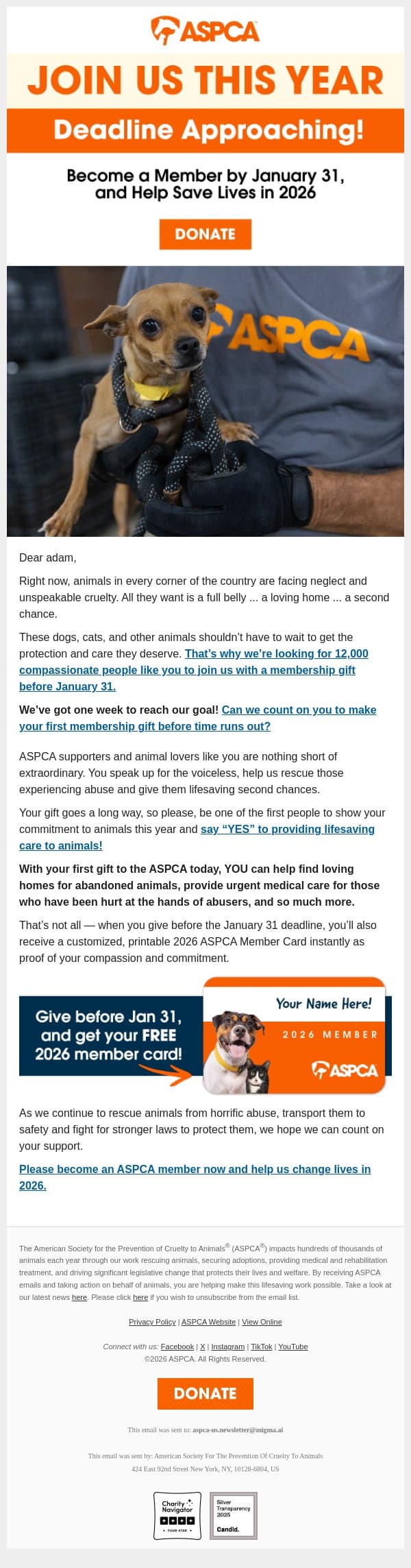 adam, review your 2026 member status today! email from ASPCA screenshot