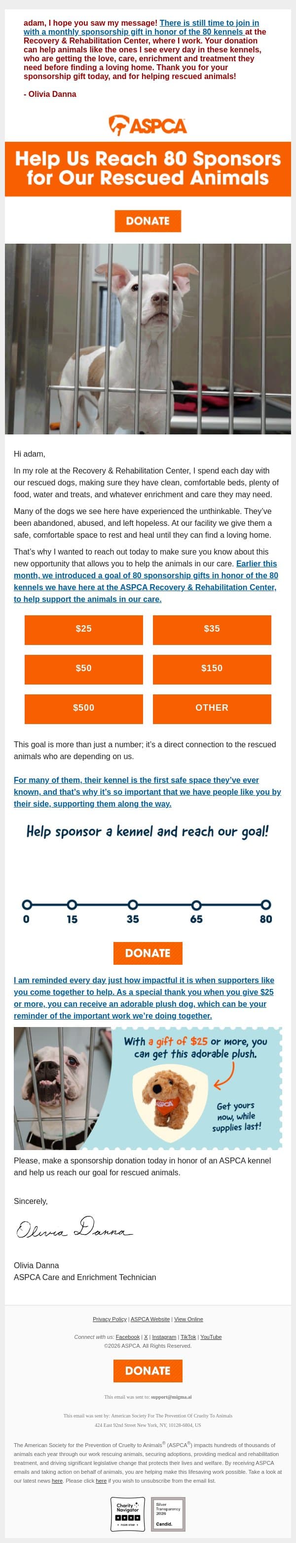 Claim Your Plush Dog with a Sponsorship Gift email from ASPCA screenshot