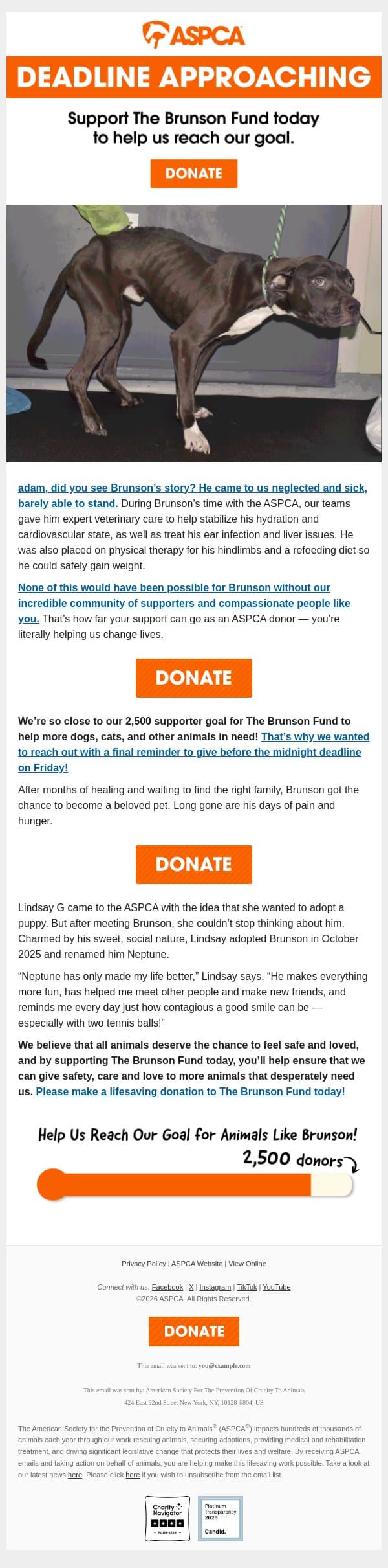 LAST CHANCE to Help Dogs Like Brunson! email from ASPCA screenshot