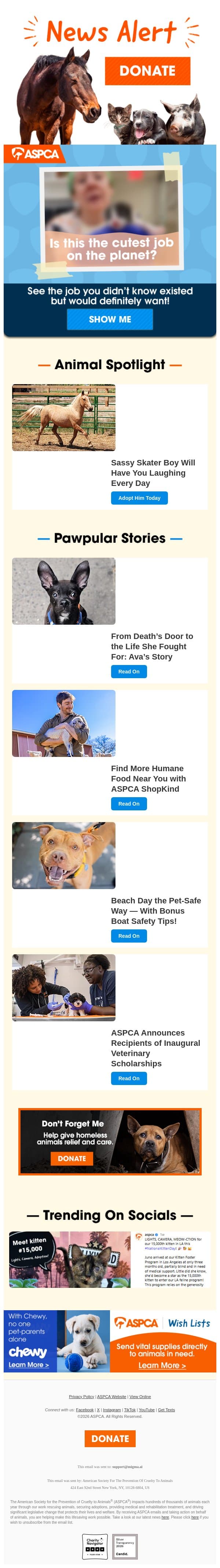 Can You Believe THIS Is a Real Job!? email from ASPCA screenshot
