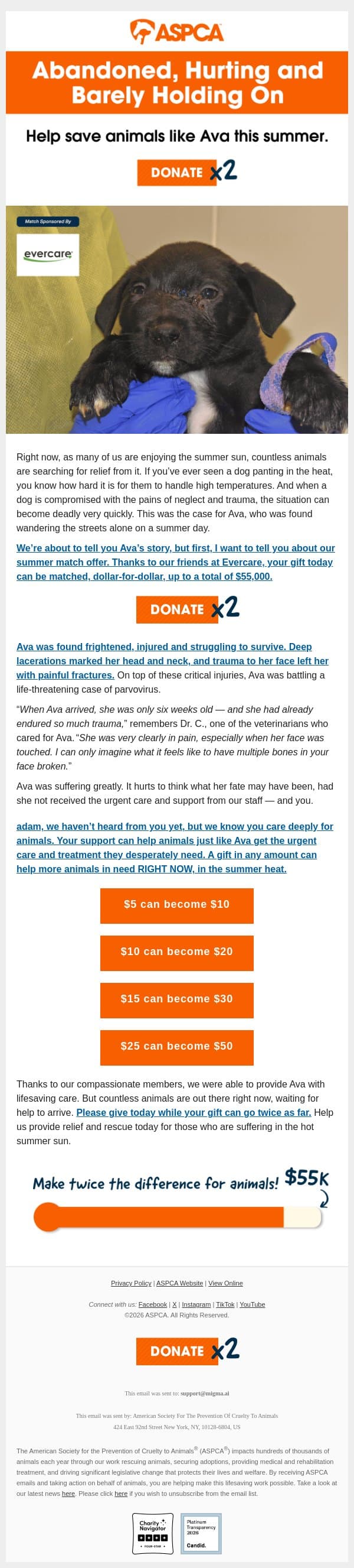 Only 6 Weeks Old and Fighting for Her Life email from ASPCA screenshot