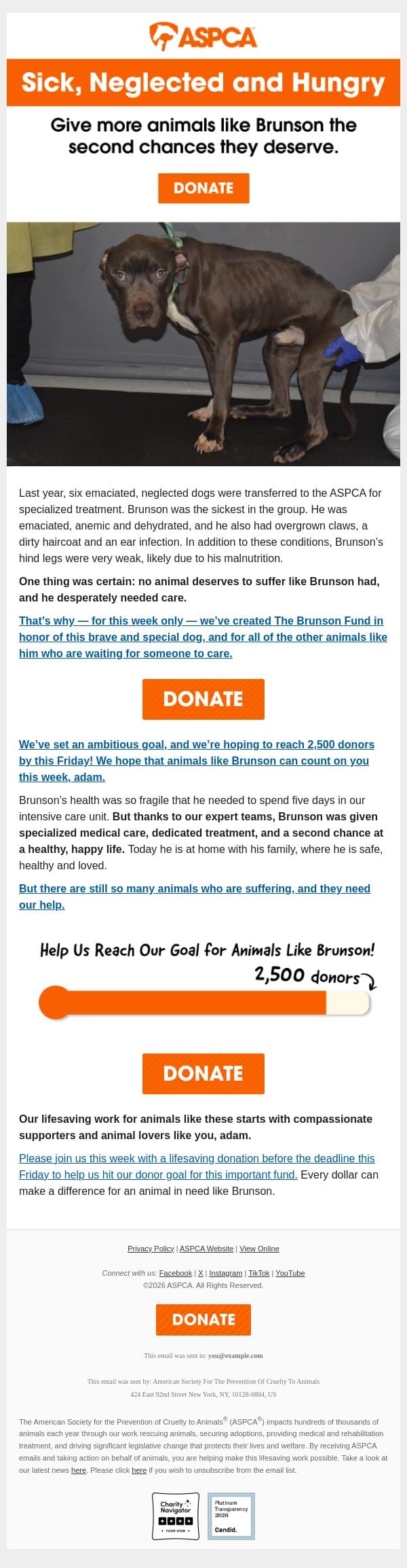 Have you seen Brunson's story, adam? email from ASPCA screenshot