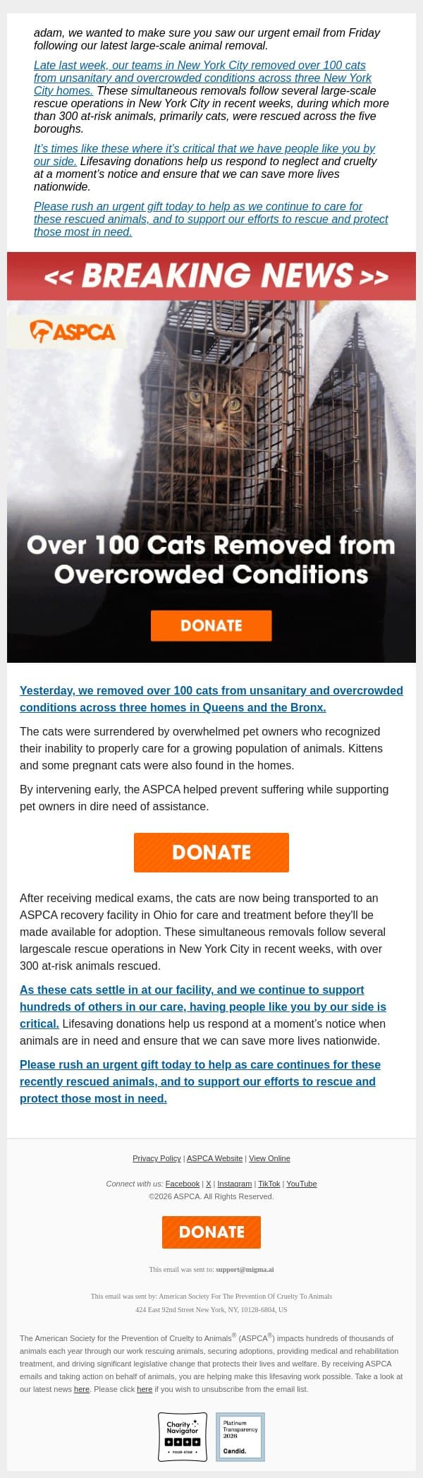 100+ Cats Removed from Unsanitary, Overcrowded Conditions email from ASPCA screenshot
