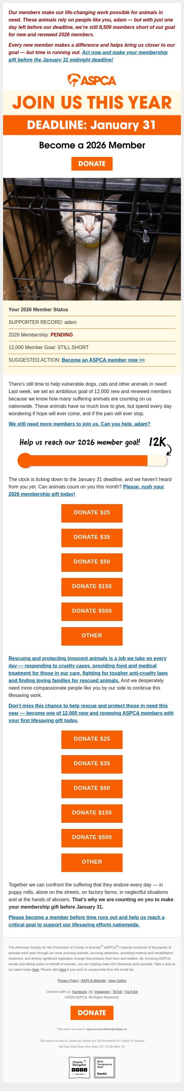 11:59 pm Deadline Approaching email from ASPCA screenshot