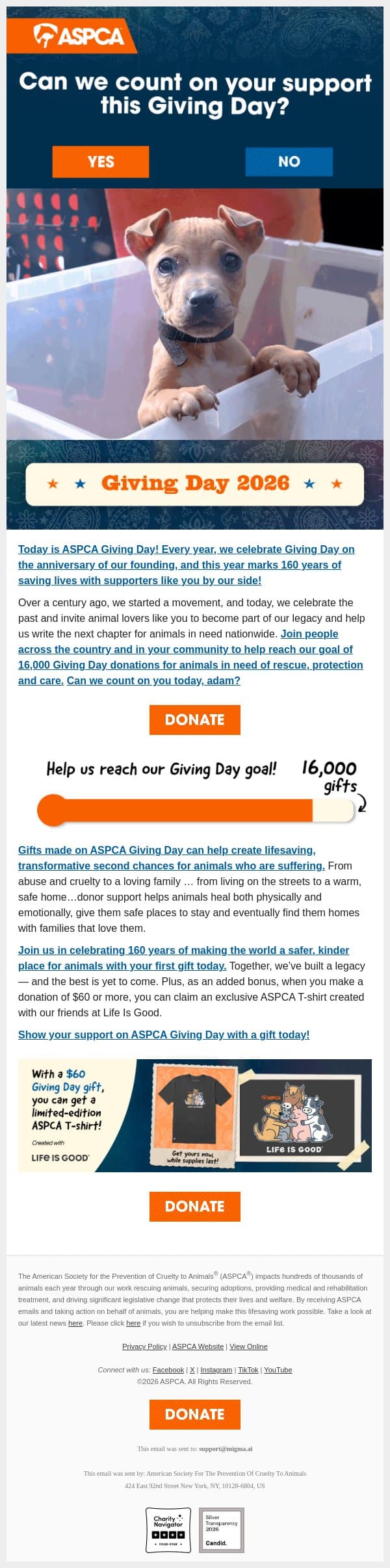 adam, today is the day! email from ASPCA screenshot