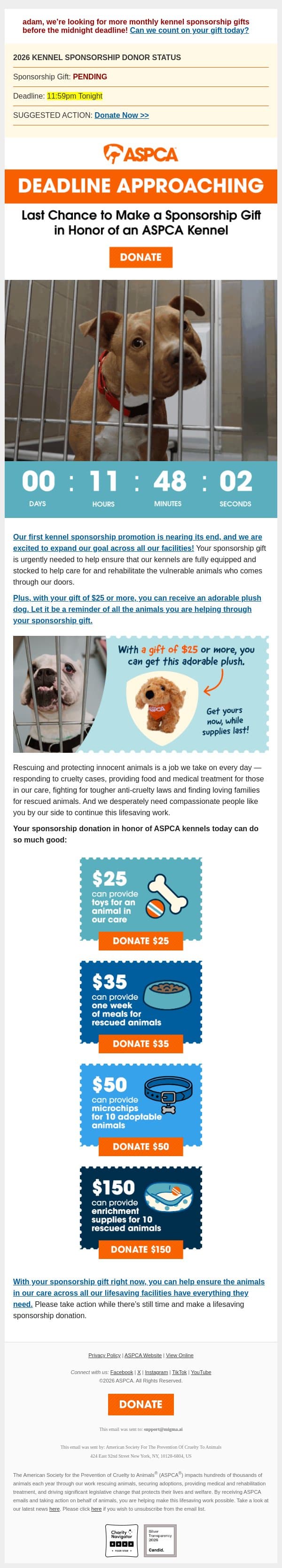 Deadline Approaching [Act Now] email from ASPCA screenshot