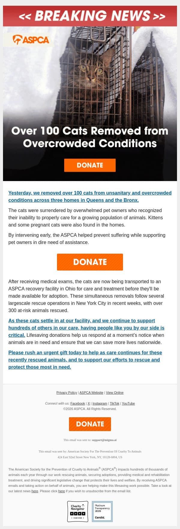 BREAKING: 100+ Cats Removed from Properties in NYC email from ASPCA screenshot