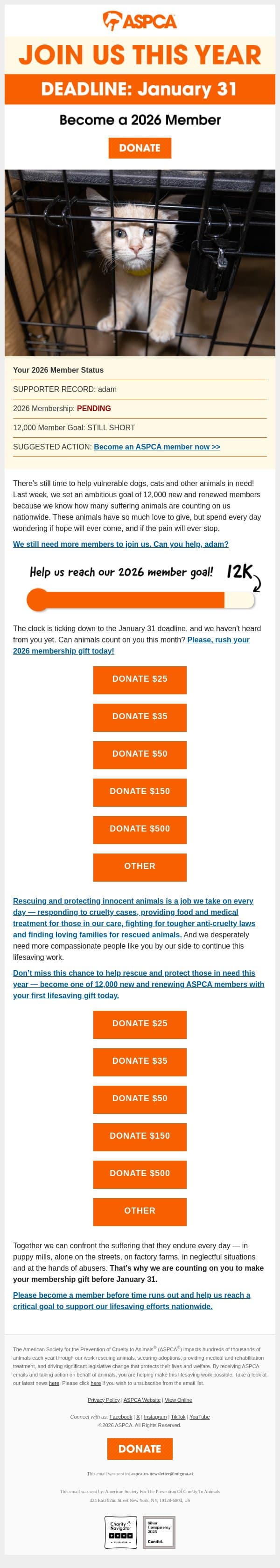 Your 2026 Member Status [Action Needed] email from ASPCA screenshot