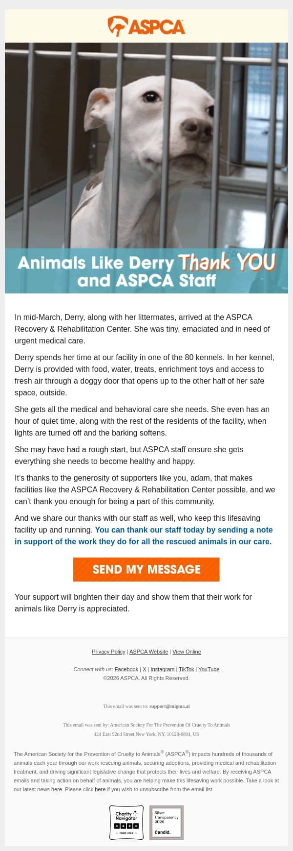 A Puppy’s Journey email from ASPCA screenshot