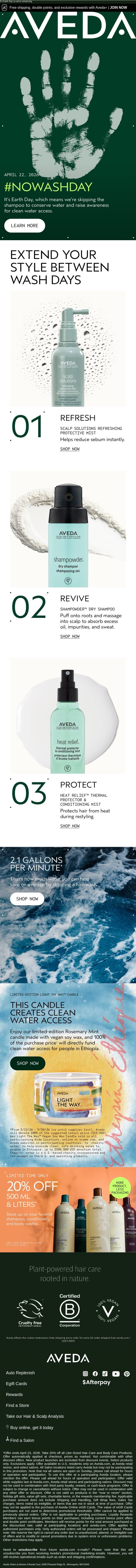 Extend your style between wash days email from Aveda screenshot