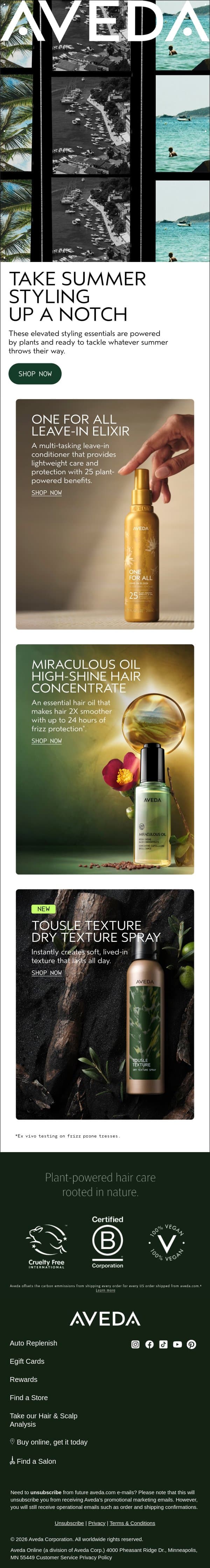 Your summer styling essentials, but elevated email from Aveda screenshot