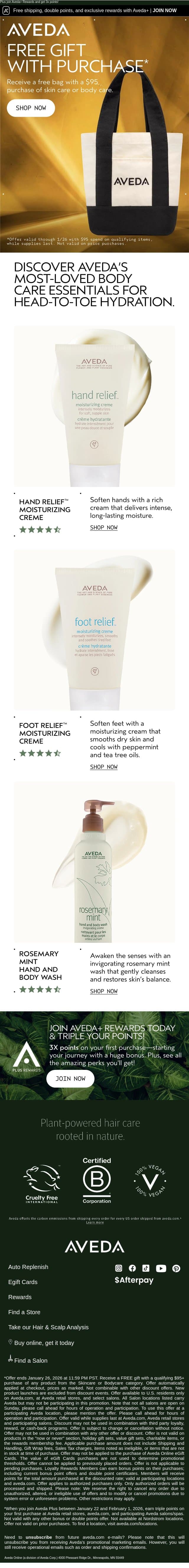 Last Call to Score a FREE Bag ✨ email from Aveda screenshot