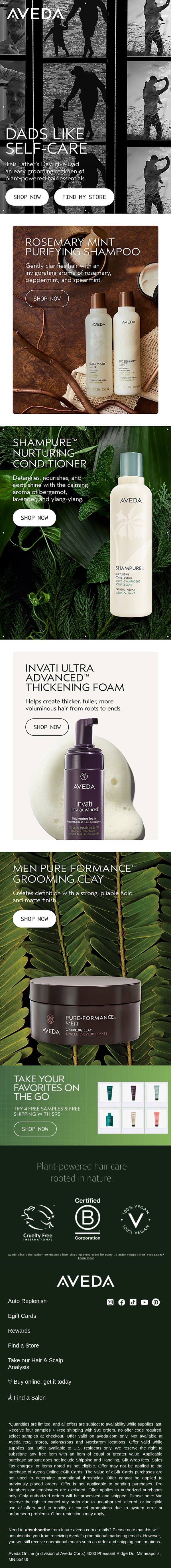 Easy grooming rituals your Dad will appreciate email from Aveda screenshot