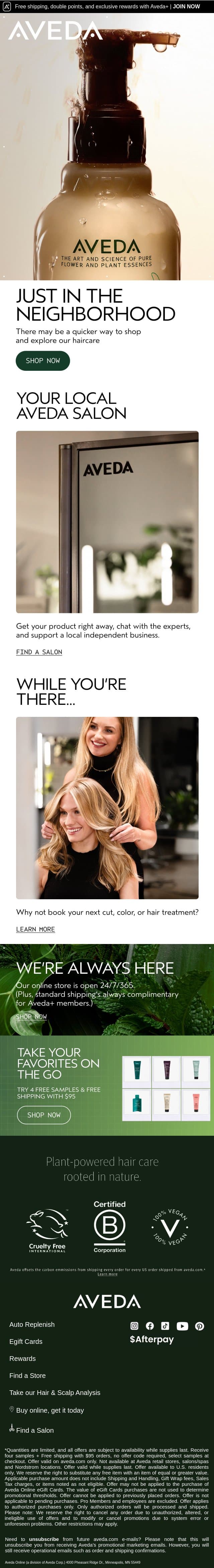 Get your products ASAP at your local salon email from Aveda screenshot
