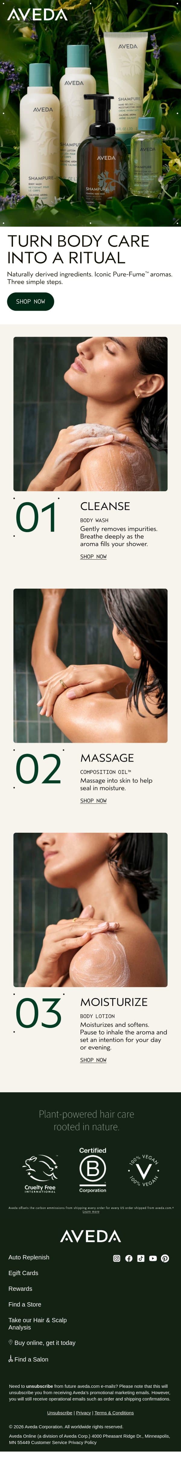 Your body care ritual email from Aveda screenshot