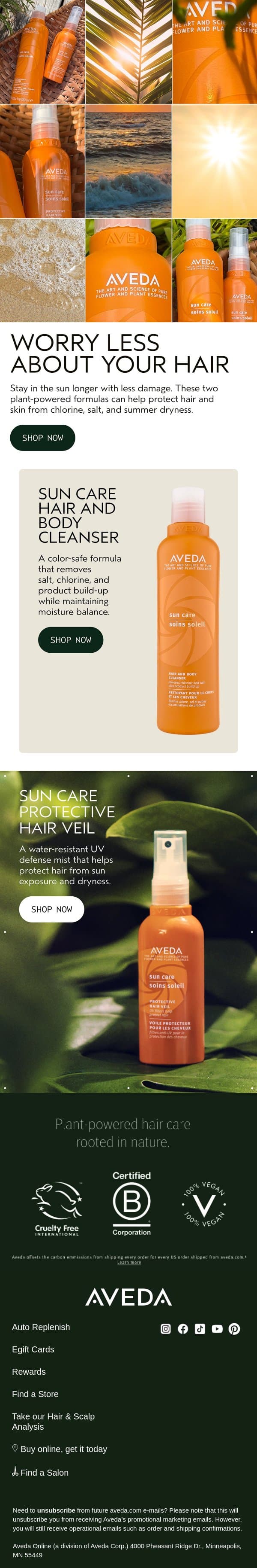 Protect Your Hair All Summer Long email from Aveda screenshot