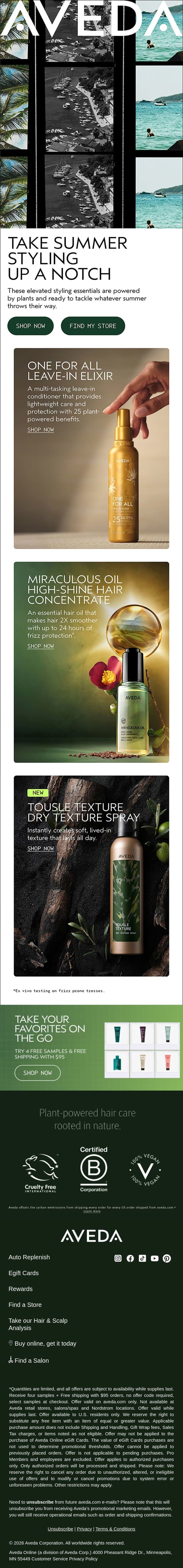 These 3 stylers are ready for summer email from Aveda screenshot