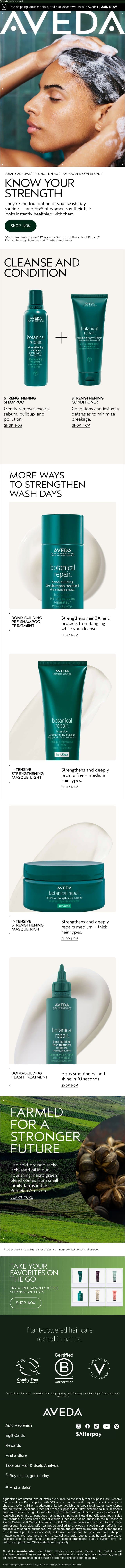 Get healthier looking hair instantly with Botanical Repair™ email from Aveda screenshot