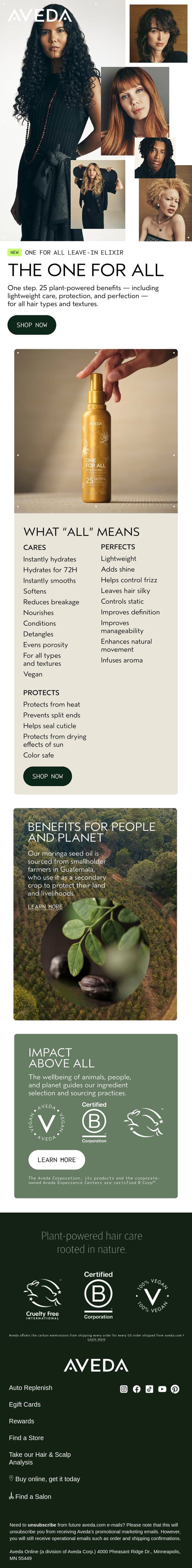 Discover the New One for All email from Aveda screenshot
