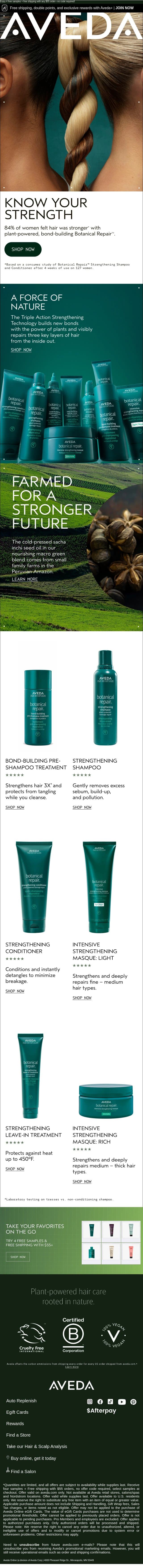 Stronger Hair Starts Here. email from Aveda screenshot
