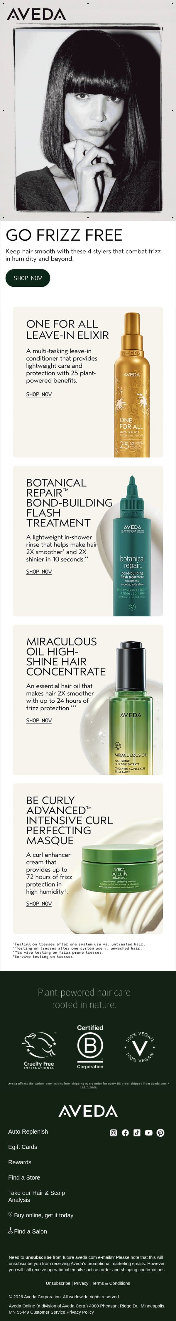 Keep it Frizz-Free email from Aveda screenshot