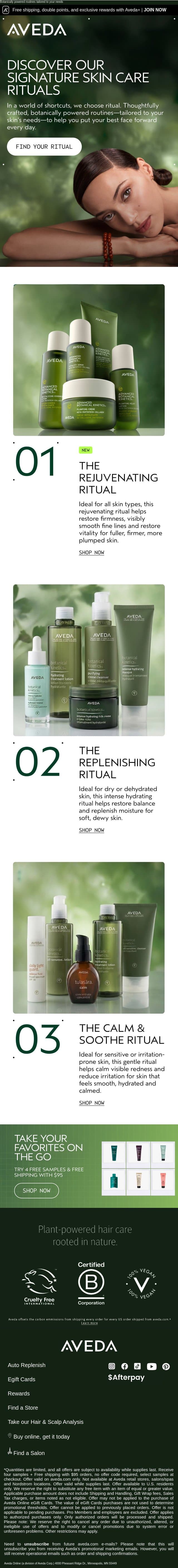 Find the skincare ritual right for you email from Aveda screenshot