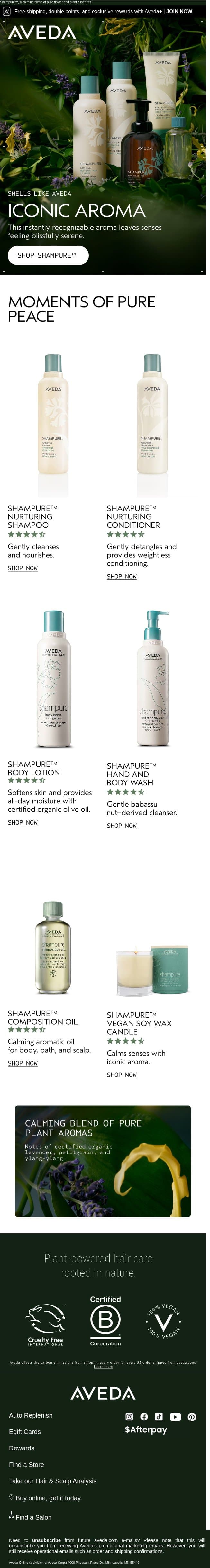 Every aroma wardrobe needs this classic email from Aveda screenshot