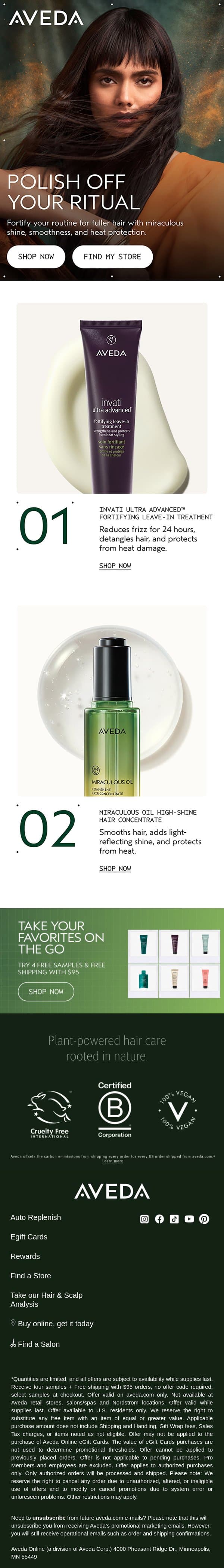 Get smoother hair with this duo email from Aveda screenshot