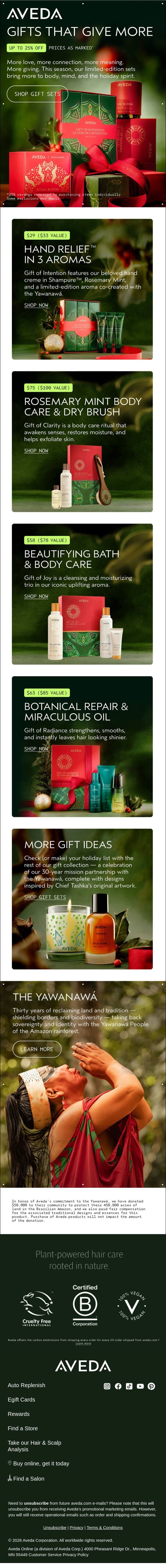 Our holiday collection is here email from Aveda screenshot