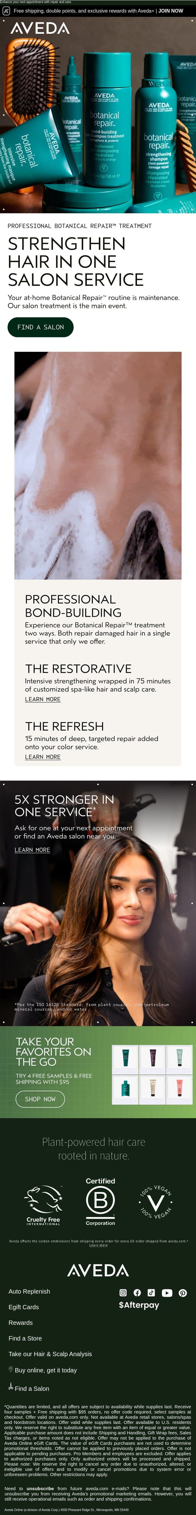 Strengthen your hair with Botanical Repair, professionally. email from Aveda screenshot