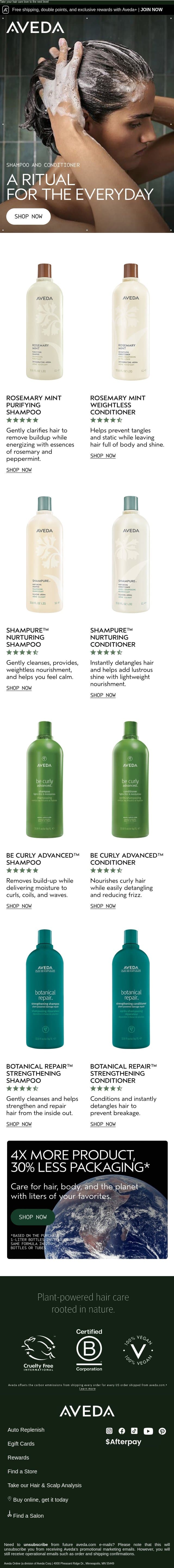 Liter sizes make for longer-lasting rituals. email from Aveda screenshot