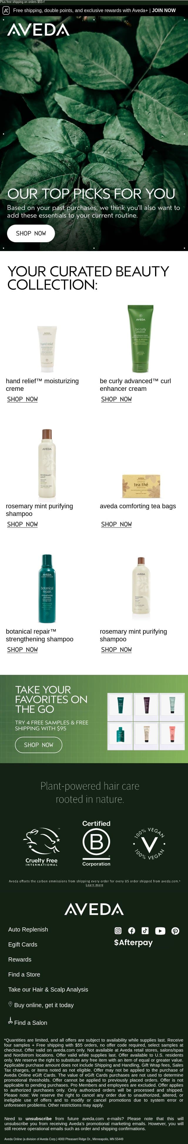 Your personalized picks email from Aveda screenshot