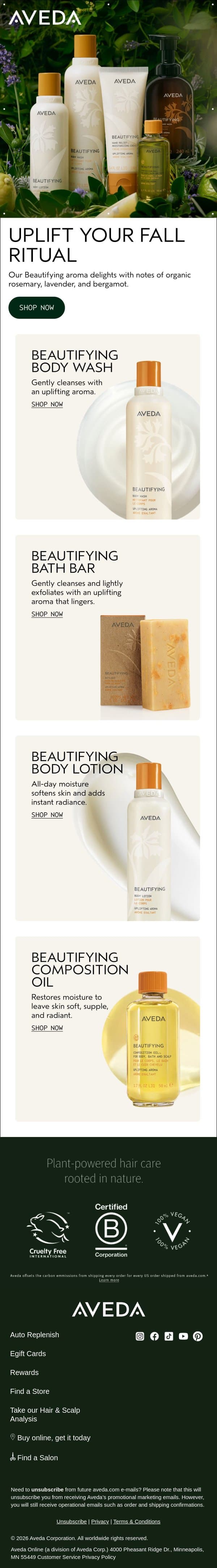 Elevate the everyday this fall email from Aveda screenshot