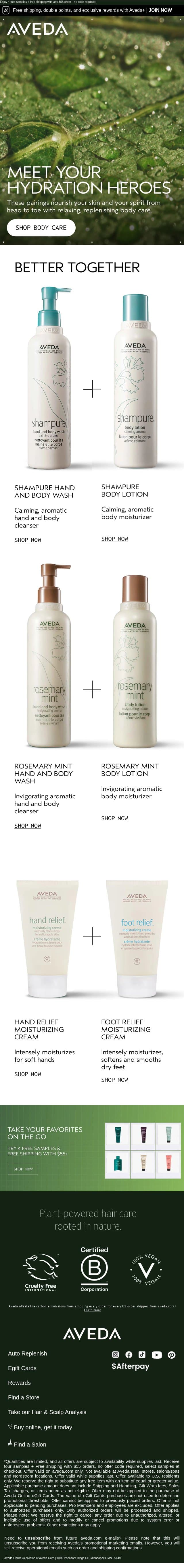 The winter skin checklist email from Aveda screenshot