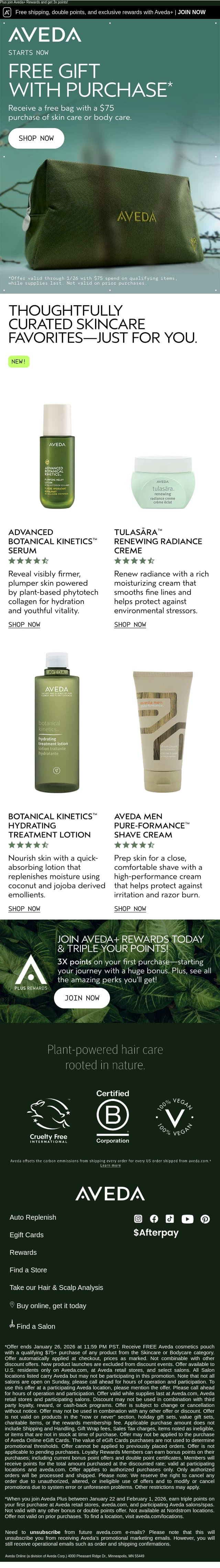 Starts now: Free cosmetic pouch with $75 purchase email from Aveda screenshot