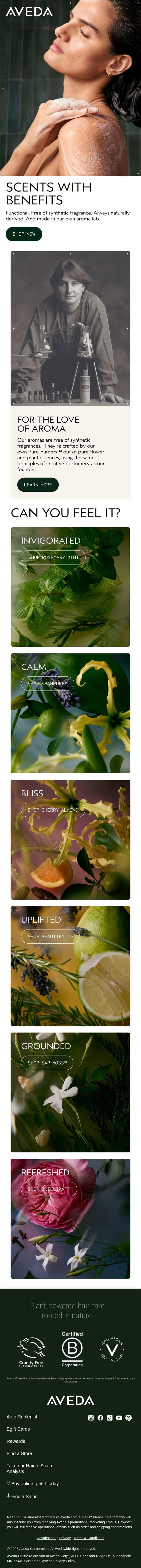 The benefits of having your own aroma lab email from Aveda screenshot