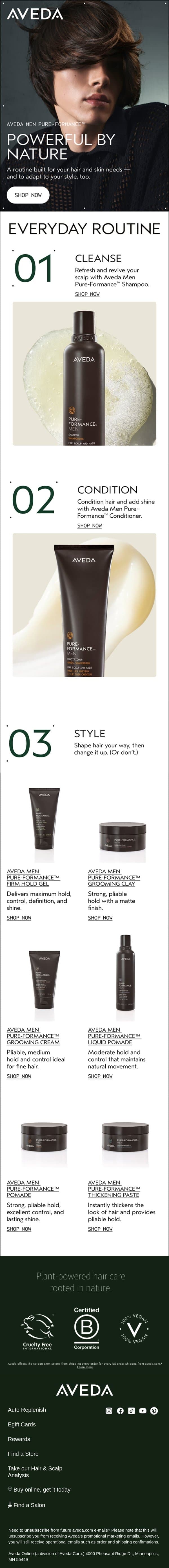 Your grooming routine has a new look. email from Aveda screenshot