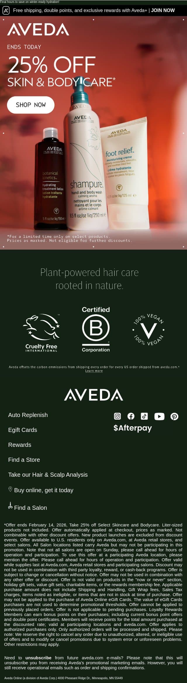 Clock’s ticking. The 25% off sale ends in hours. email from Aveda screenshot