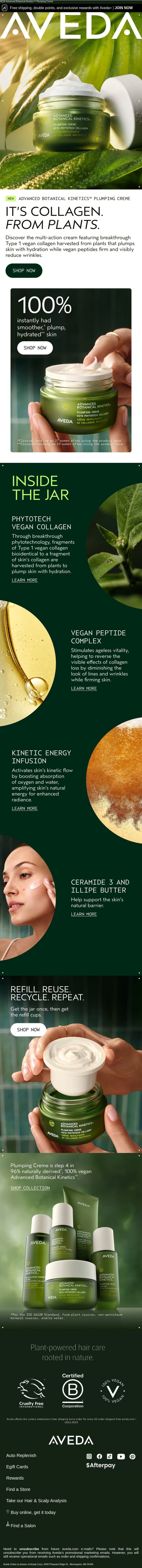 Plump, smooth skin in an instant email from Aveda screenshot